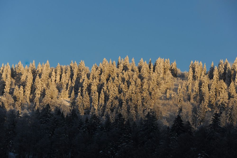 Quelques flocons devraient tomber encore demain.