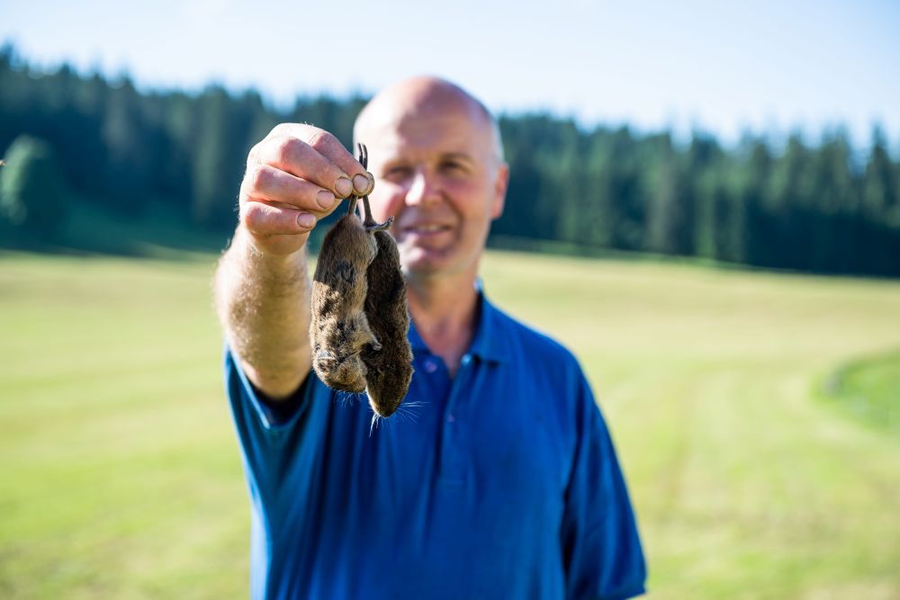 Jean-Pierre Gfeller, agriculteur qui a son champ infeste de campagnols.    Val-de-Travers, le 21 juin 2018  Photo : Lucas Vuitel