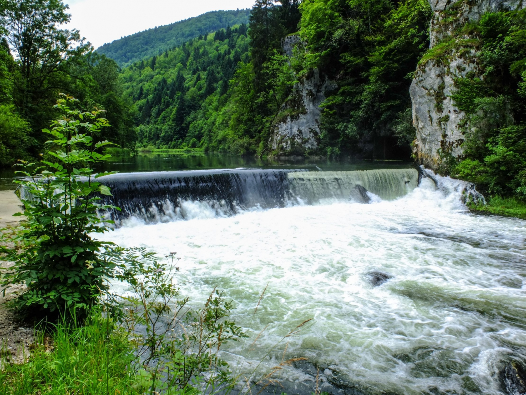 Le Theusseret au bord du Doubs. 

GOUMOIS 04.07.2012
PHOTO: CHRISTIAN GALLEY JURA