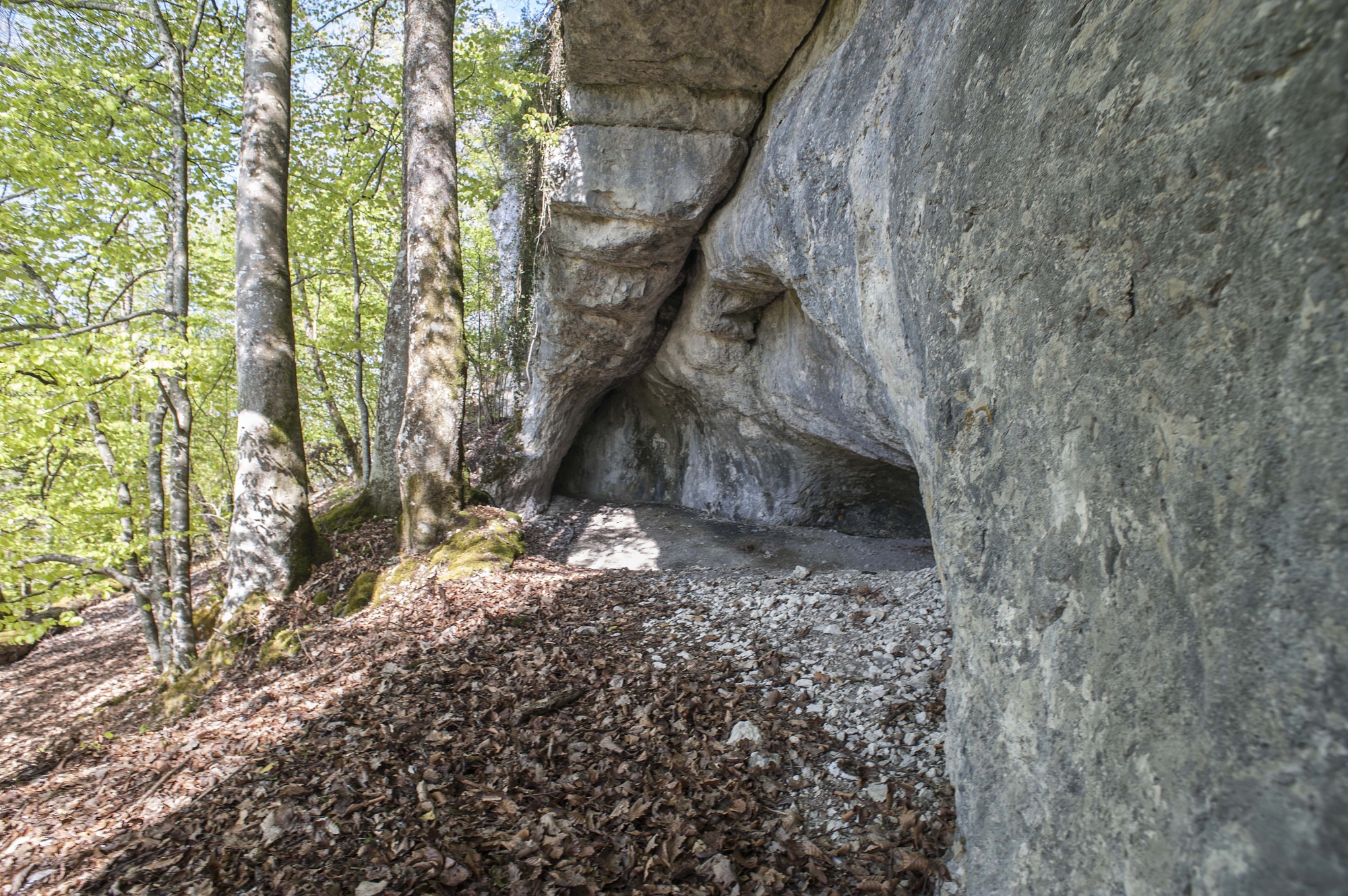 La grotte de Cotencher était fermée au public depuis 2013.
