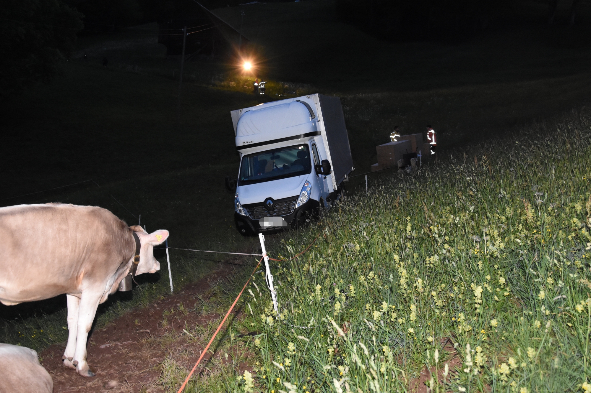La camionnette de livraison a terminé sa course entouré de vaches.