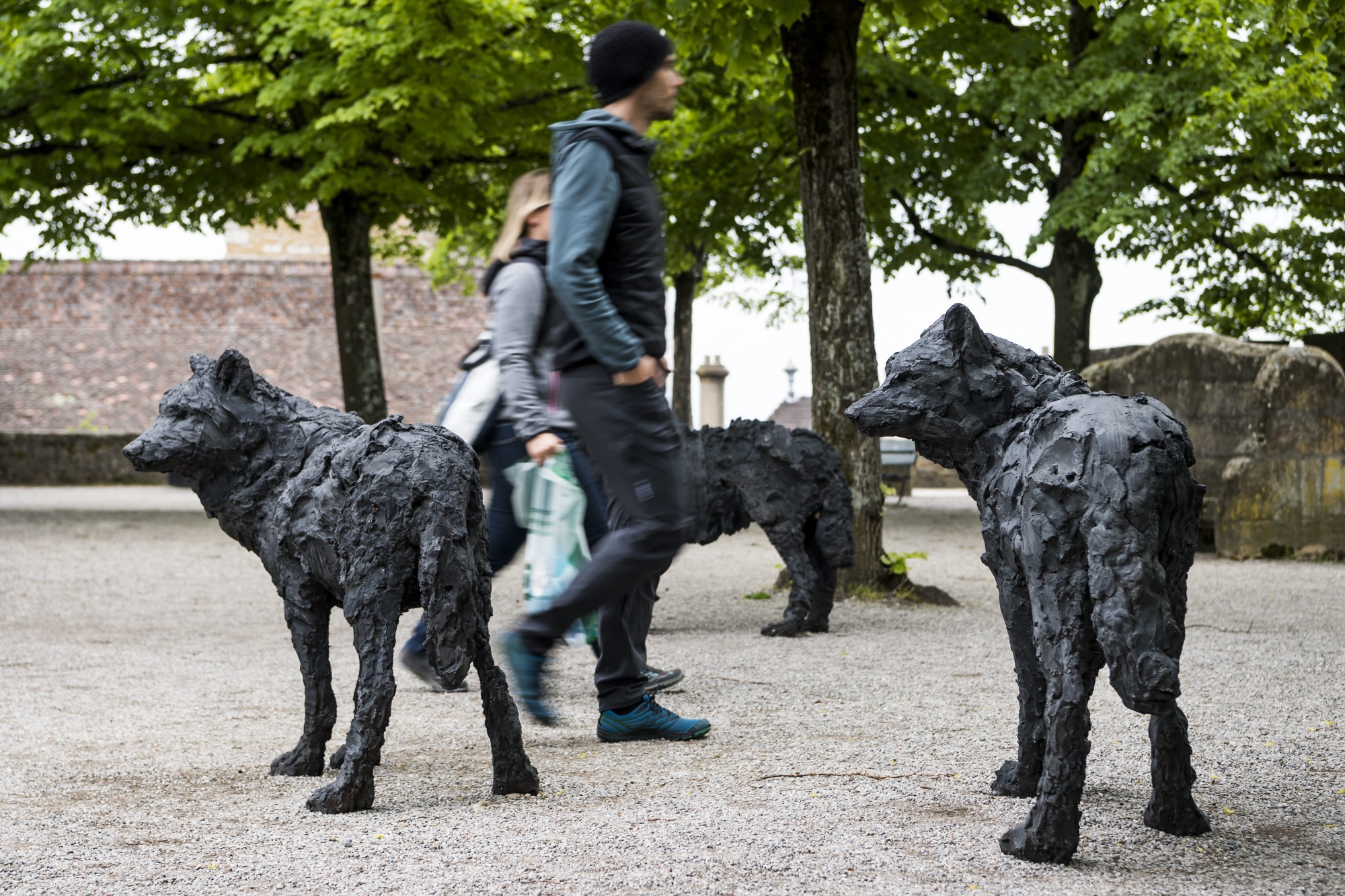 La Ville de Neuchâtel a lancé une campagne de financement pour acheter les loups de la Collégiale.