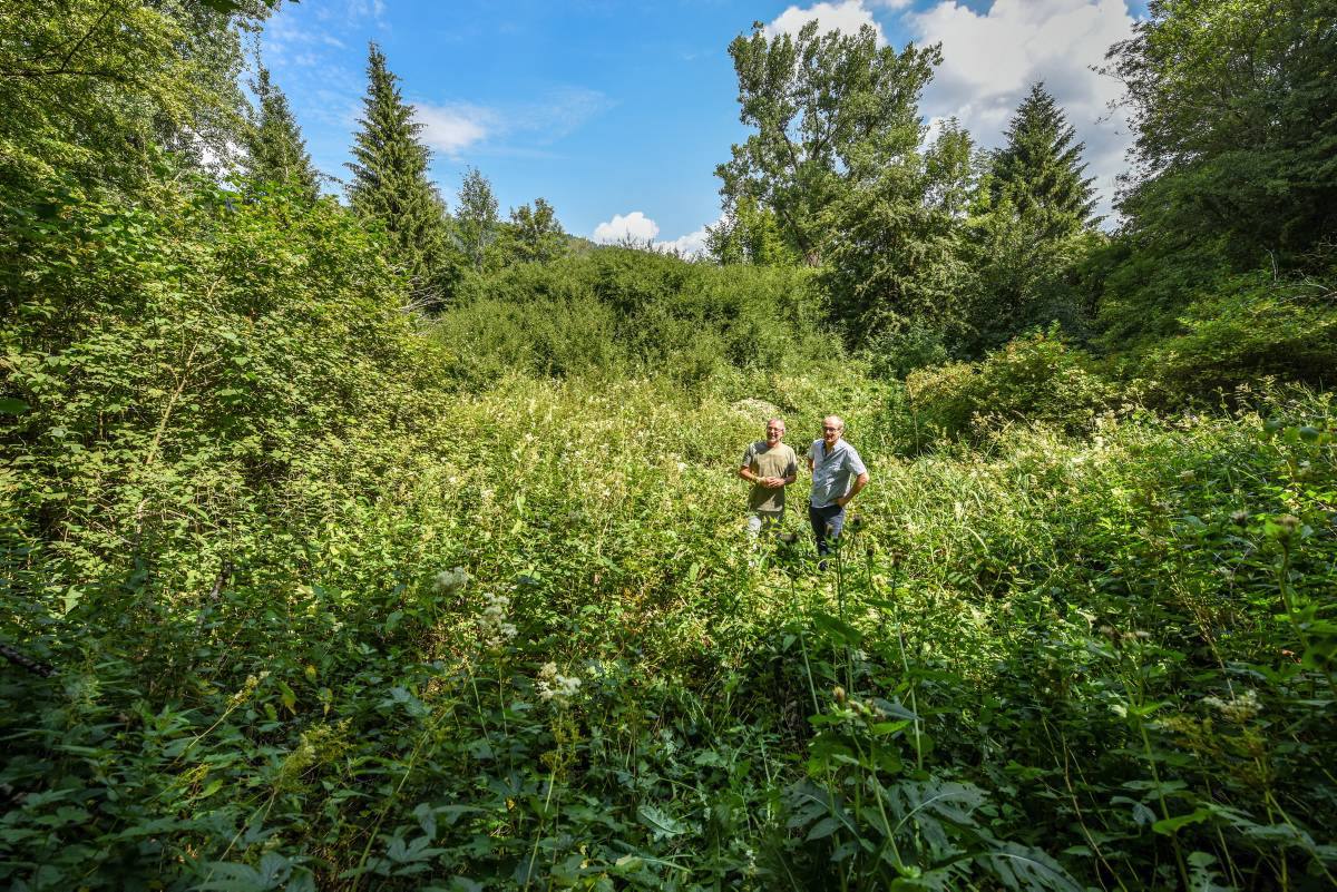 Yvan Matthey et Matthias von Wyss (en bleu) au milieu des broussailles qui devraient laisser la place à un étang forestier. 
