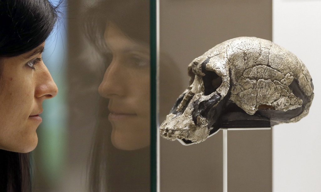 Les Dénisoviens et les Néandertaliens se sont séparés il y a 400'000/500'000 ans, devenant deux espèces distinctes du genre Homo (illustration).