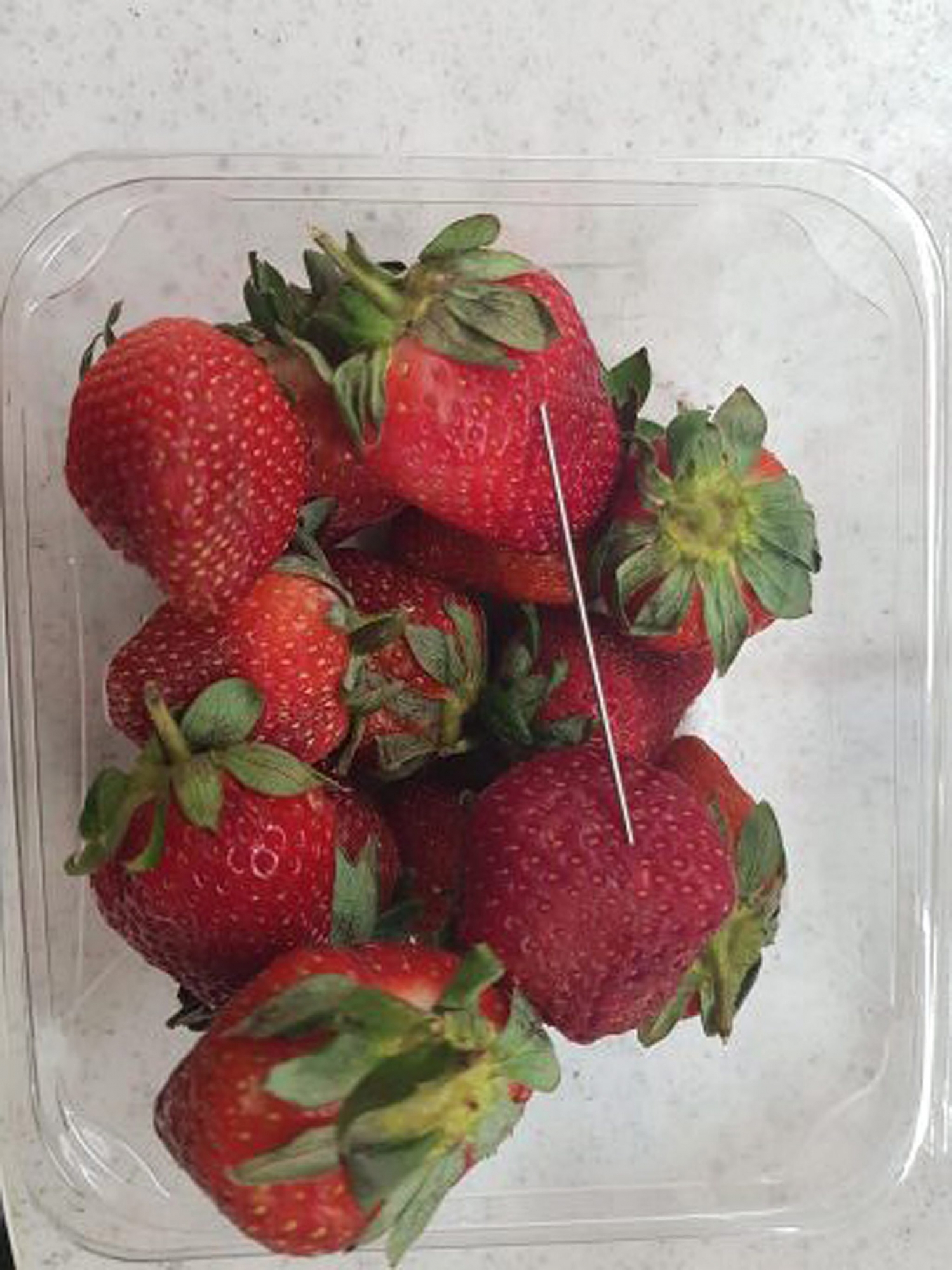 epa07019680 An undated handout photo made available by the Queensland Police on 14 September 2018 shows a thin piece of metal seen among a basket of strawberries in Gladstone, Queensland, Australia. Australia's Queensland Police are investigating a suspected copycat incident as part of the investigation into the contamination of strawberries in Queensland. The suspected copycat incident, reported at a supermarket in Gatton, involves the discovery of a thin metal object in a basket of strawberries.  EPA/QUEENSLAND POLICE HANDOUT -- BEST QUALITY AVAILABLE -- AUSTRALIA AND NEW ZEALAND OUT HANDOUT EDITORIAL USE ONLY/NO SALES AUSTRALIA QUEENSLAND STRAWBERRY CONTAMINATION