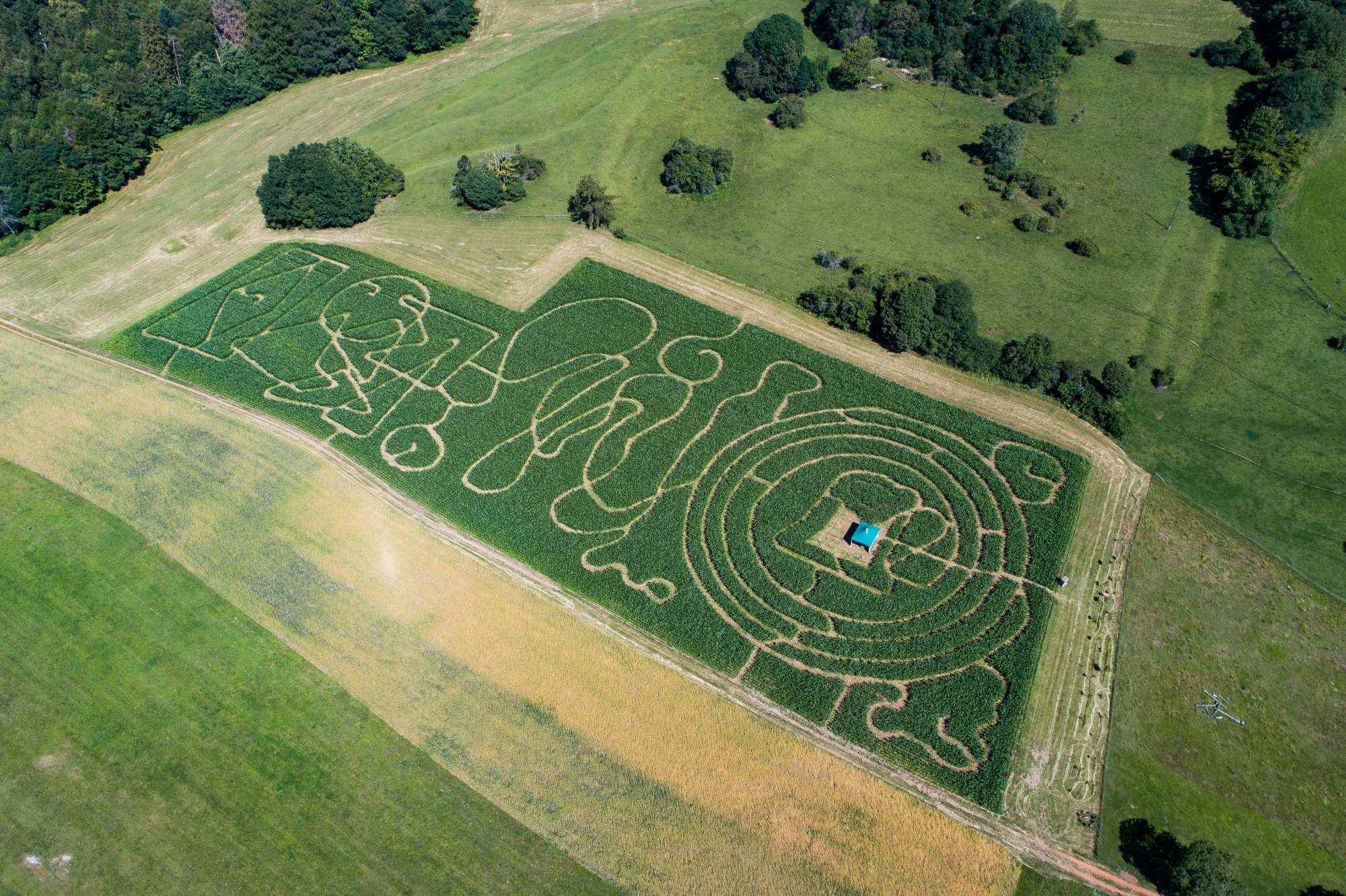 L'ambiance sera effroyable dans le labyrinthe de maïs.     