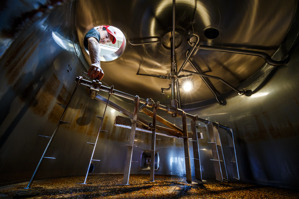 Les changements climatiques devraient régulièrement faire plonger la production d’orge et avec elle, celle de la bière. 