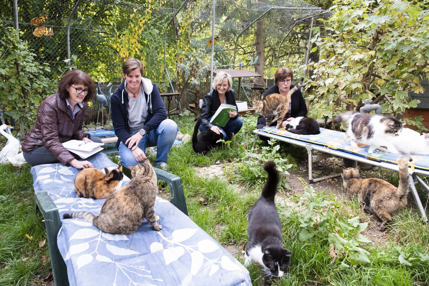 Des étudiantes dune nouvelle école de comportementaliste pour chats sont venues observer les chats du refuge de Noiraigue.