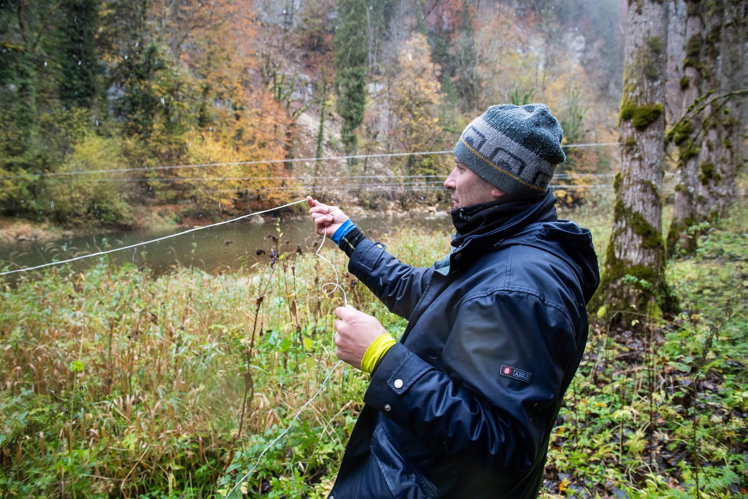 Les pêcheurs du Doubs installent des ficelles au dessus de la rivière pour empêcher les cormorans d'attaquer les poissons.  