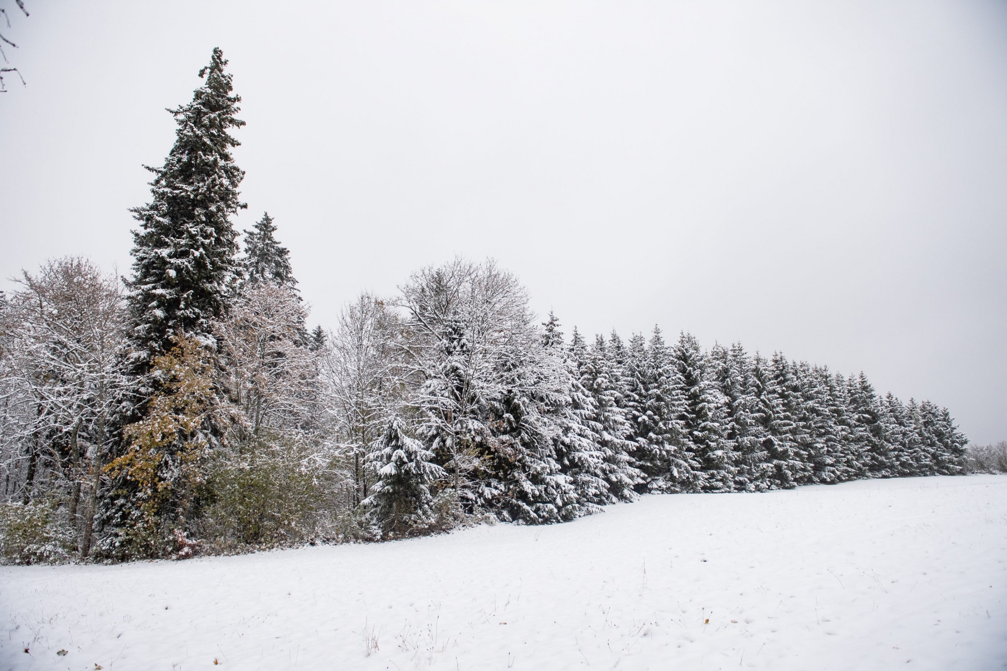 Première neige dans le canton de Neuchatel.