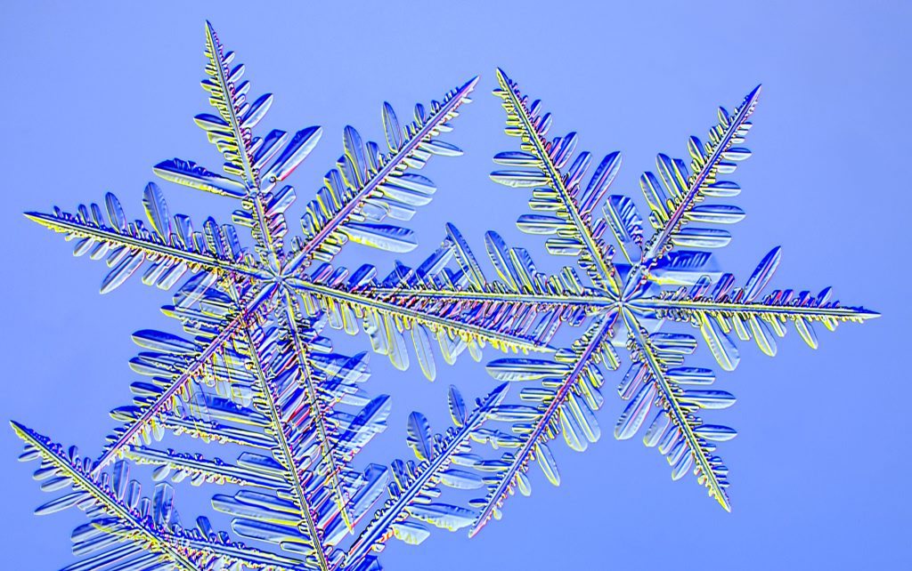 Le site internet snowcrystals.com propose des centaines d'images de flocons de neige prélevés dans la nature ou créés en laboratoire.