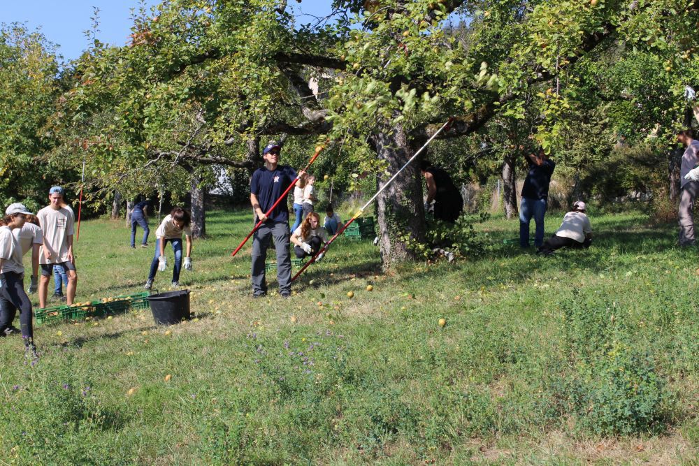 En 2018, 24 classes ont participé aux chantiers nature.