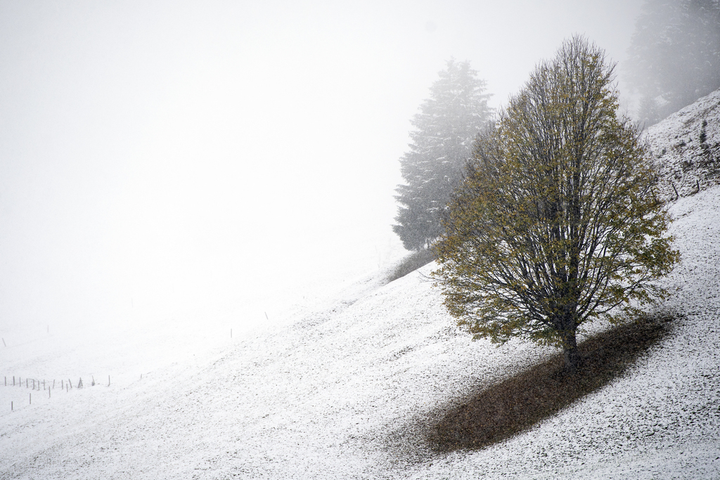 Un fin manteau neigeux va recouvrir la Suisse romande ce lundi. 