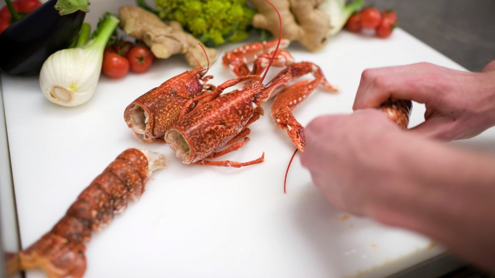 Les homards seront encore ébouillantés jusqu'à la fin février.