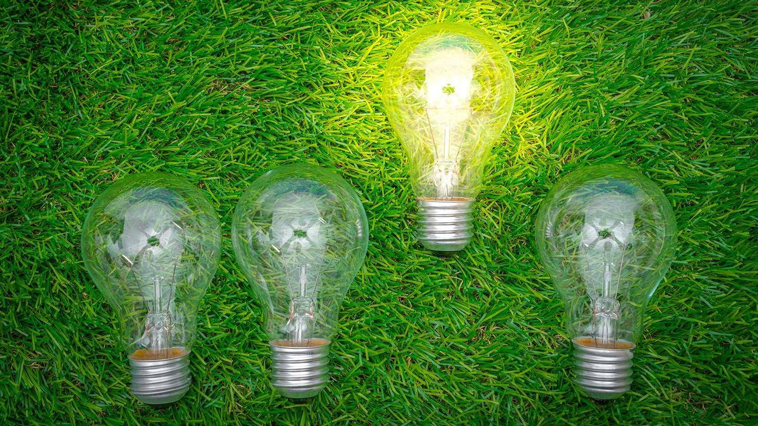 Eco concept - light bulb grow in the grass
