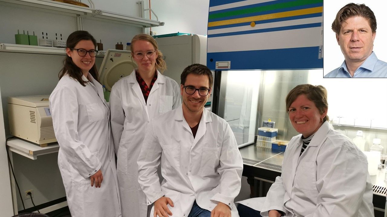 De g.à dr.: Stefanie Graeter, Daniëlle Verschoor, Quentin Haas, Kayluz F. Boligan, tous de l’institut de pharmacologie de l’université de Berne, à l’hôpital de l’Ile. En haut à droite: le professeur Stephan von Gunten.
