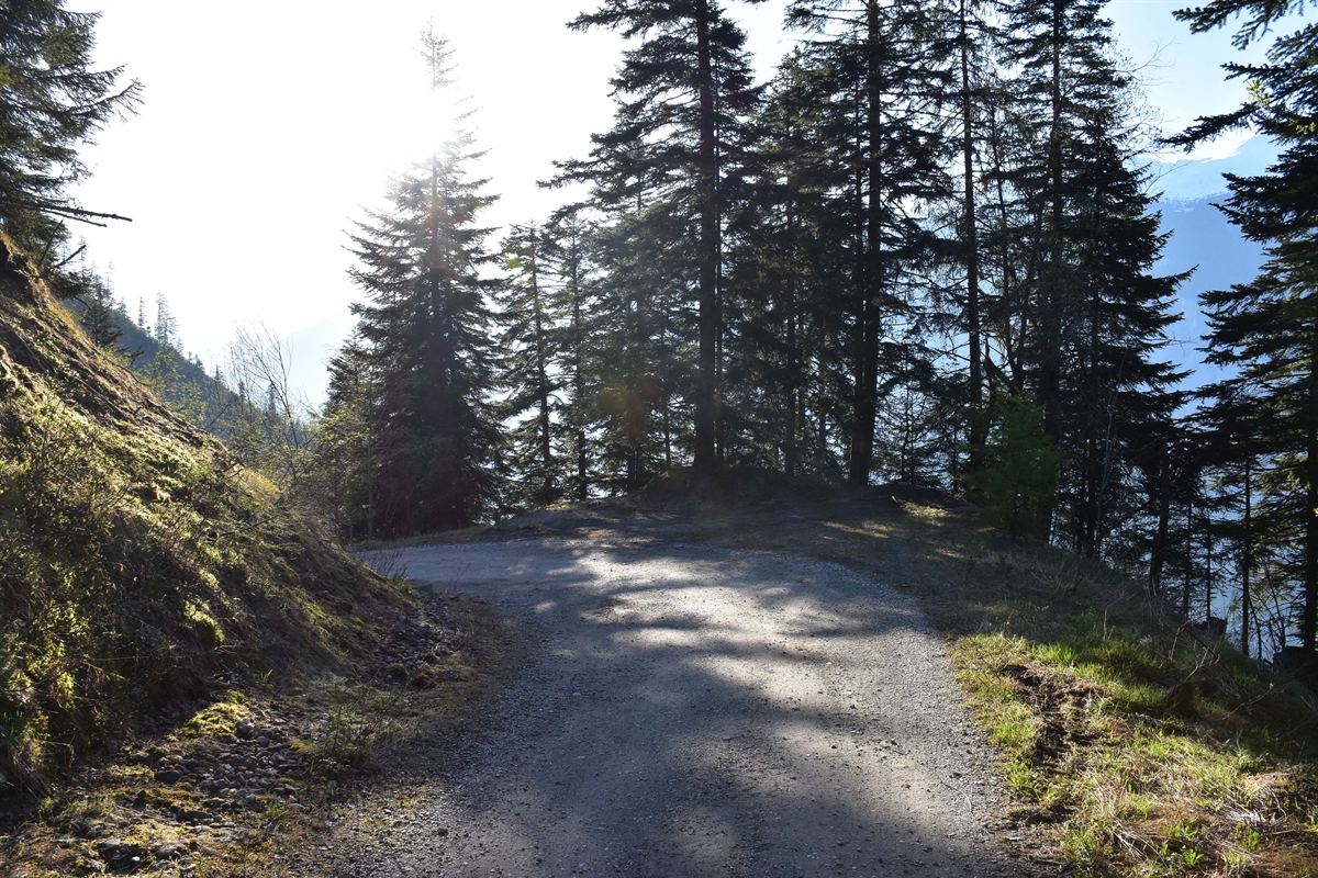 Un écolier de 14 ans est décédé près de Coire après avoir fait une chute d'environ 200 mètres dans le vide.