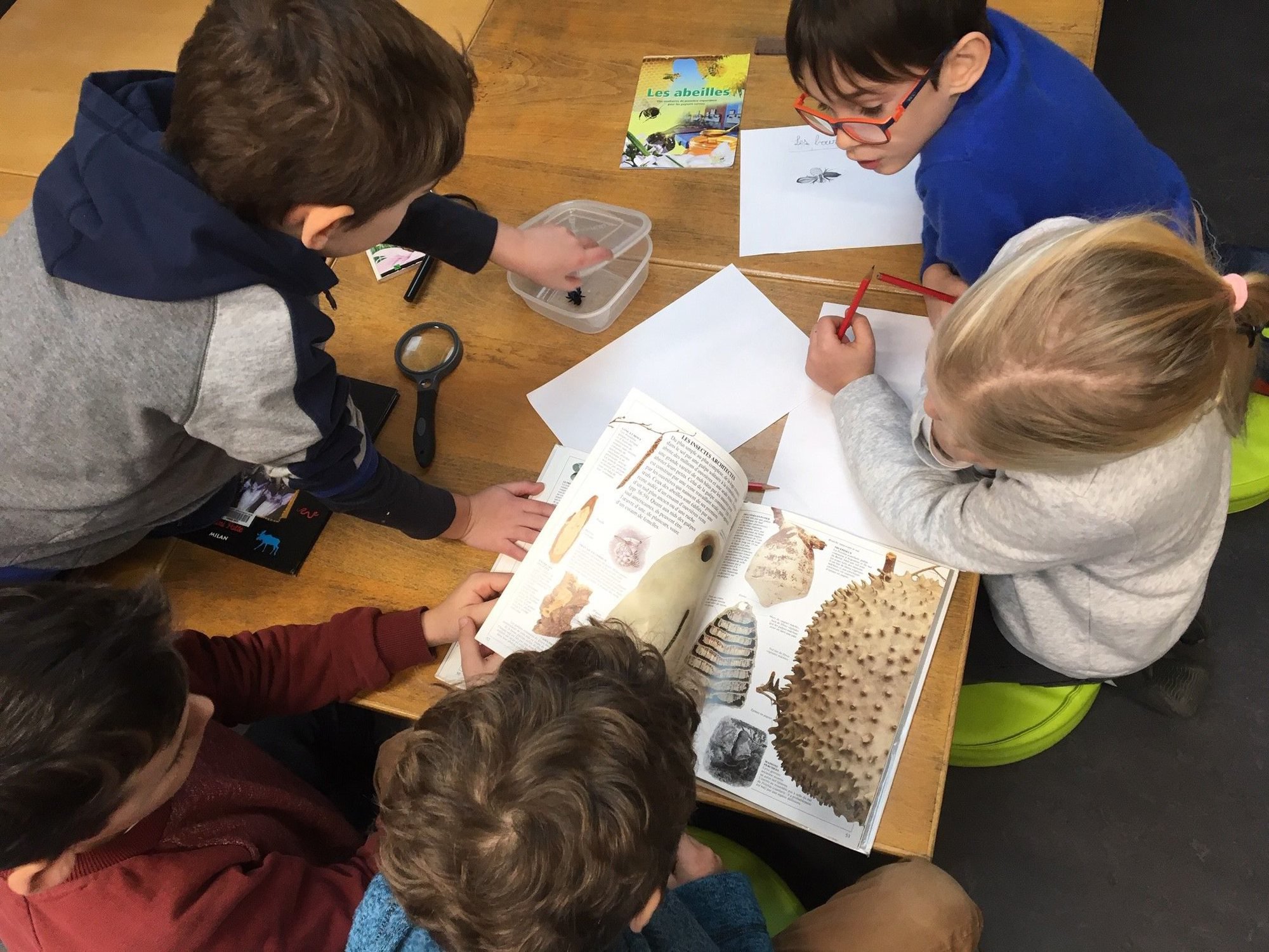 La méthode Montessori, dispensée par l’Ecole internationale de Neuchâtel, a le vent en poupe.