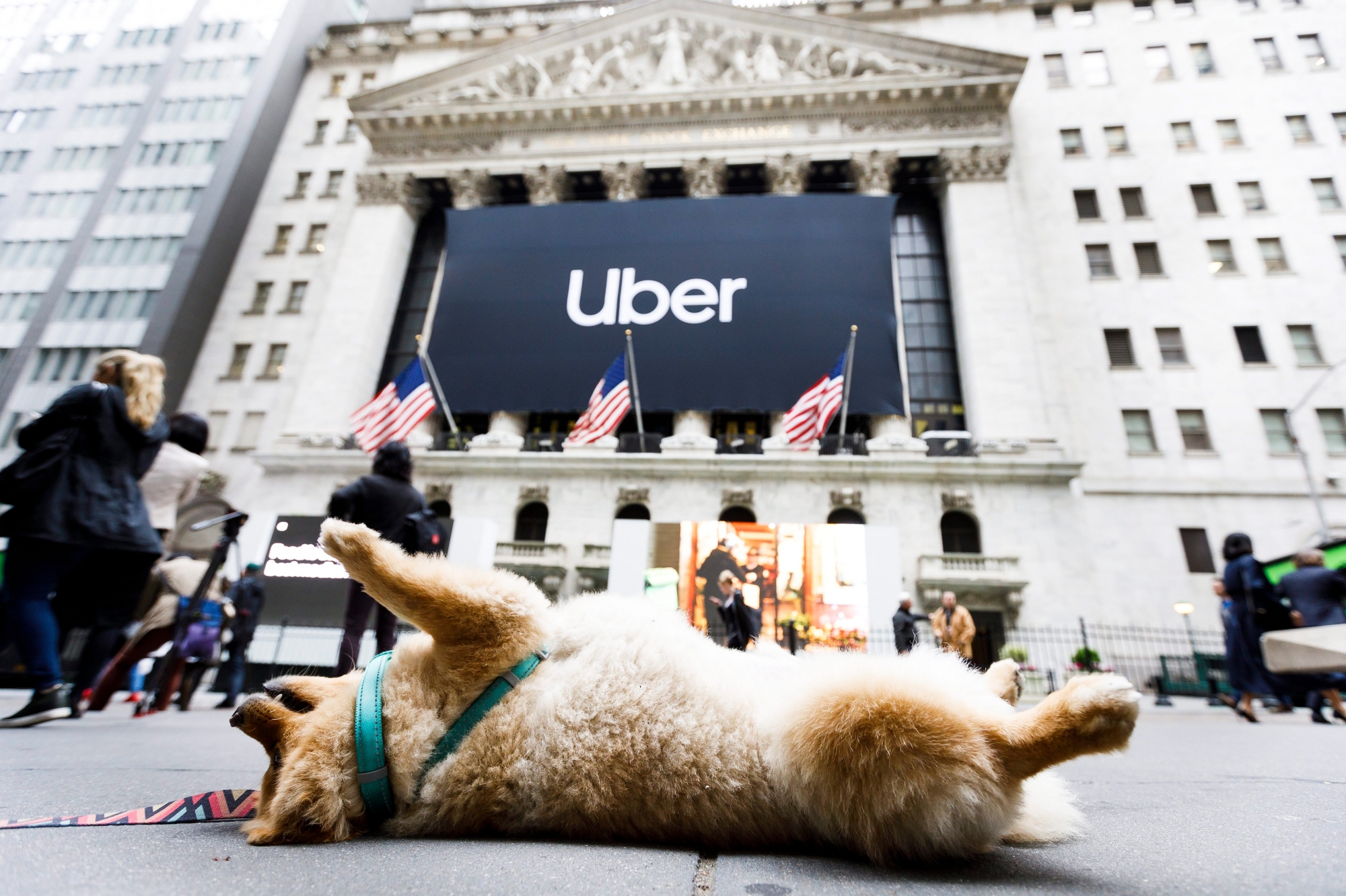 epa07560524 A dog lies on the sidewalk in front of the New York Stock Exchange before today's initial public offering for Uber in New York, New York, USA, 10 May 2019. Shares mom stock in the company are being listed at 45 US dollars per share which will reportedly raise the company at least 8.1 billion US dollars / 7.2 billion euros.  EPA/JUSTIN LANE USA NEW YORK UBER IPO AT NYSE