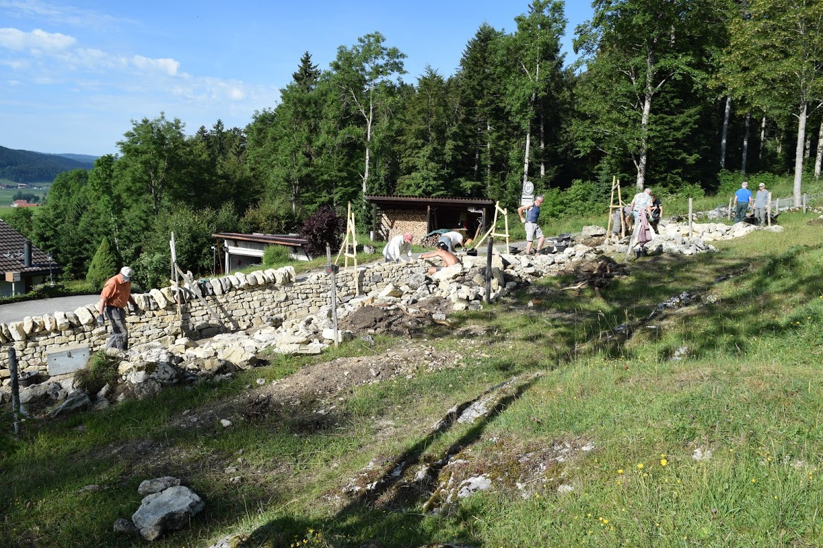 Les bénévoles reconstruisent un mur en pierres sèches, à la sortie de La Sagne. 