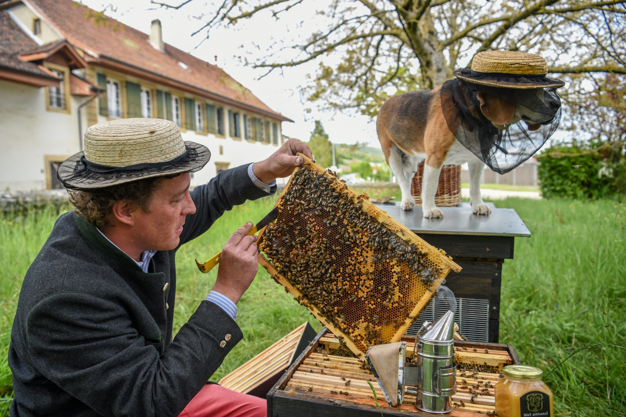 Audric de Campeau, en compagnie de son chien "Filou", s’occupe de ruches en divers endroits. Il en a 300 en ville de Paris.