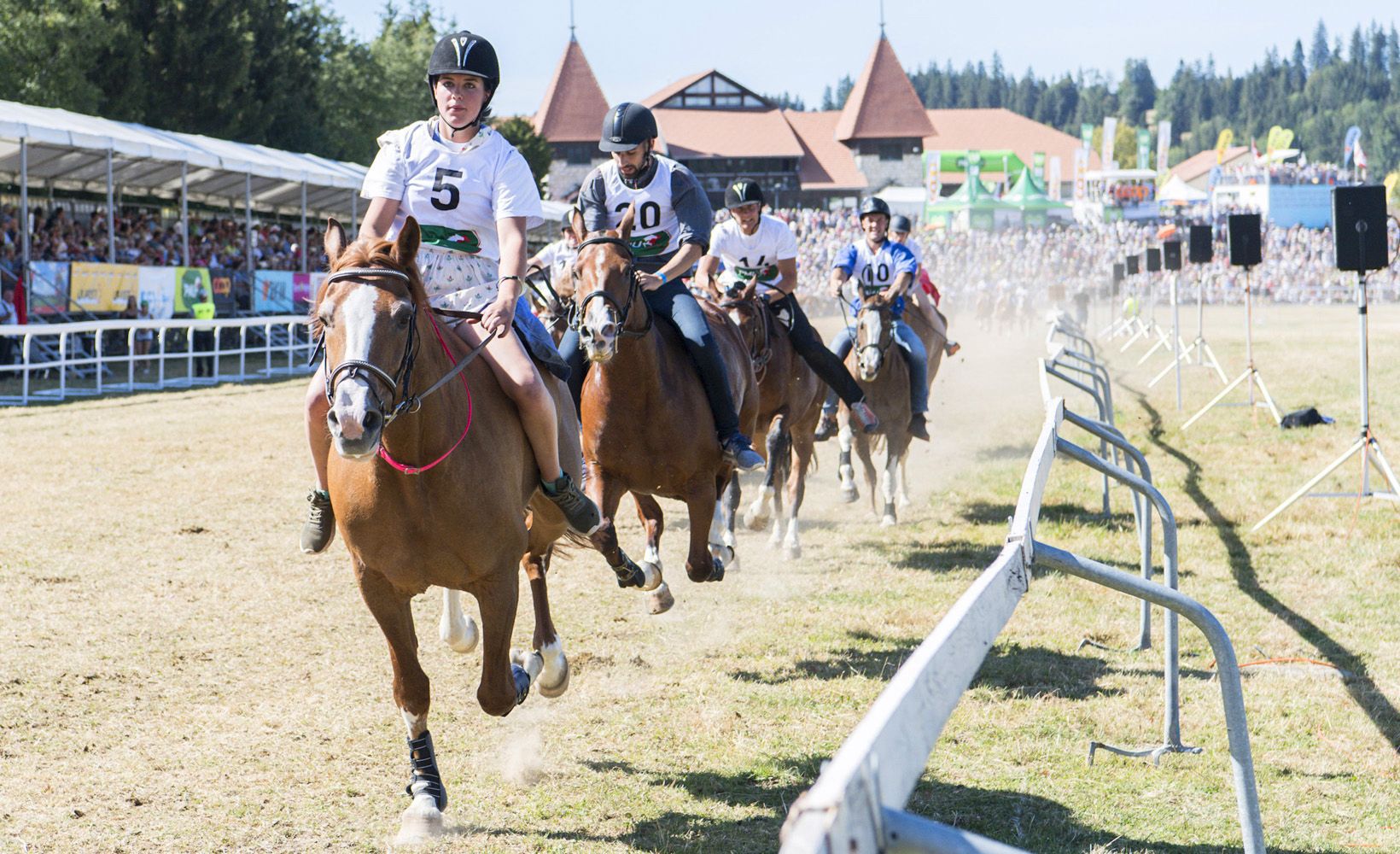 Les courses et la vente de chevaux sont des événements phares du Marché-Concours.