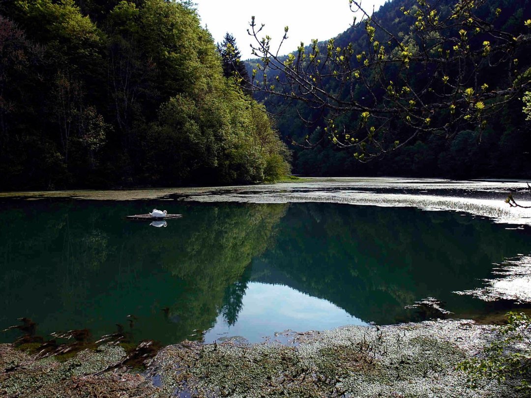 Le Doubs ne présente pas de problème majeur de qualité des eaux.