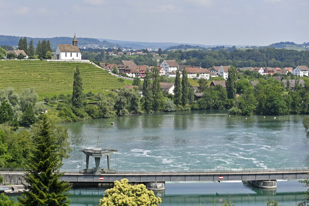 Le septuagénaire avait plongé le 30 juin dans le Rhin à Rheinau (Zurich) pour sauver son chien. (Illustration)
