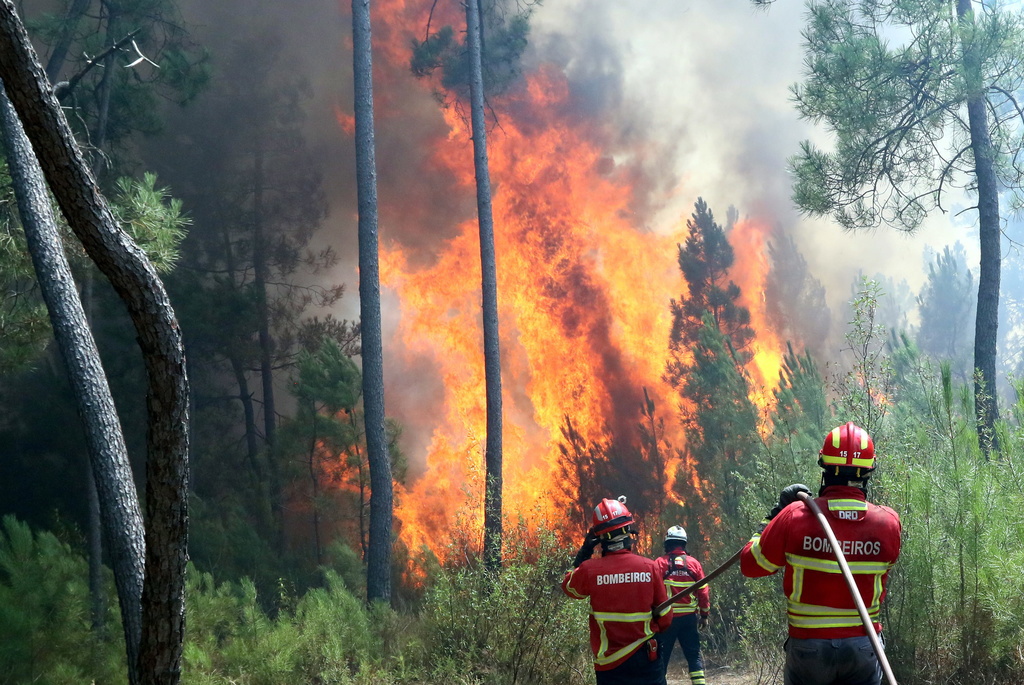 Les foyers s'étaient déclarés samedi après-midi sur trois fronts et la nuit suivante plusieurs hameaux avaient été évacués par précaution. Le travail des pompiers a été compliqué par les températures élevées et les bourrasques.