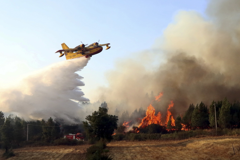 Le Portugal a enregistré environ 12'200 incendies de forêt l'année dernière, selon le ministre portugais Eduardo Cabrita. 