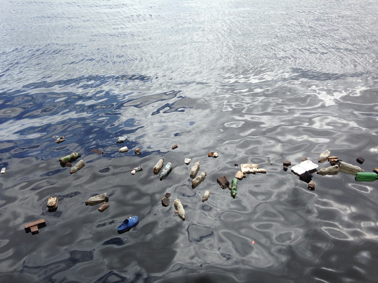 L'institut français de recherche pour l'exploitation de la mer (IFREMER) a mené une vaste étude de suivi des déchets marins méditerranéens.