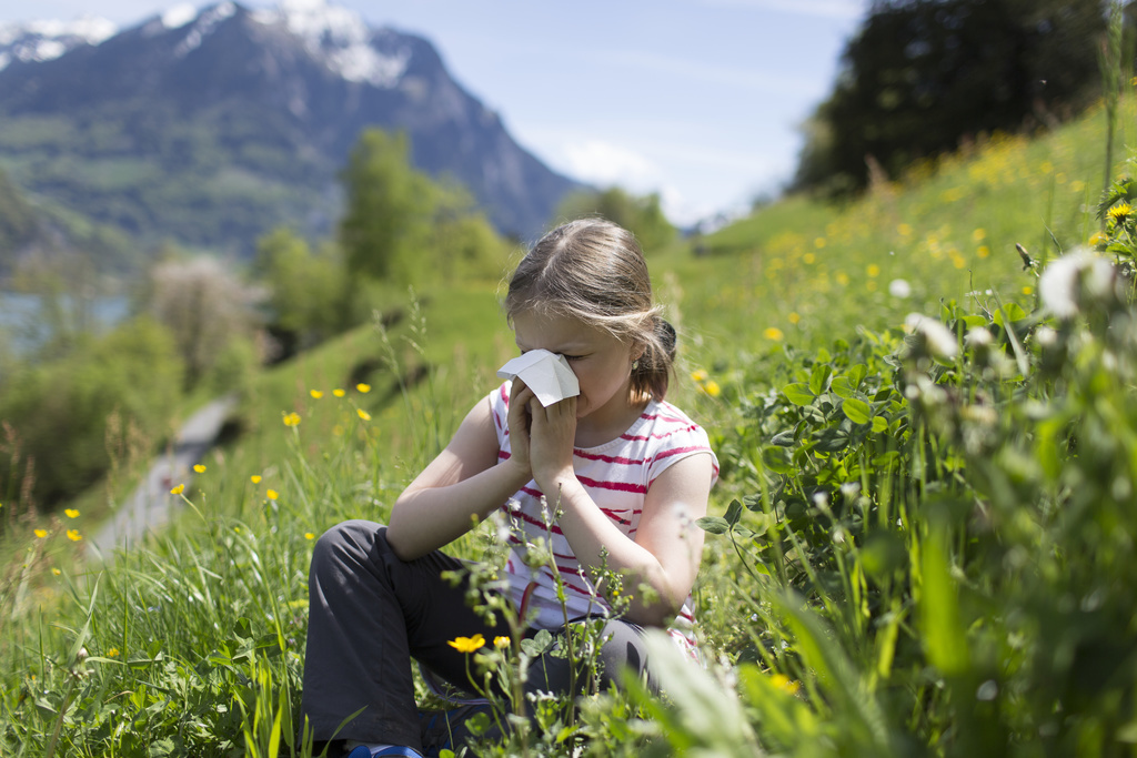 Les personnes allergiques devraient profiter de la pause pollinique et commencer une désensibilisation. (illustration)