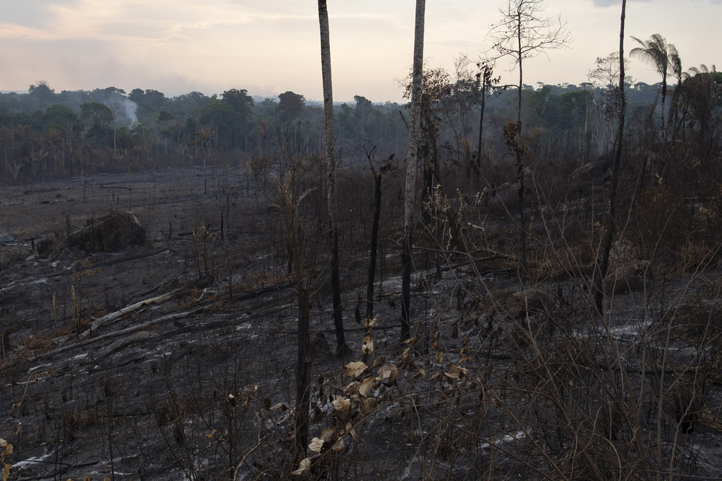 L'aide permettra de lutter plus efficacement contre les feux de forêt.