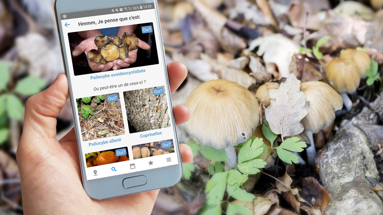 Les applis pour champignonneurs se multiplient. Mais méfiance... Il faut mieux consulter un spécialiste après chaque récolte.