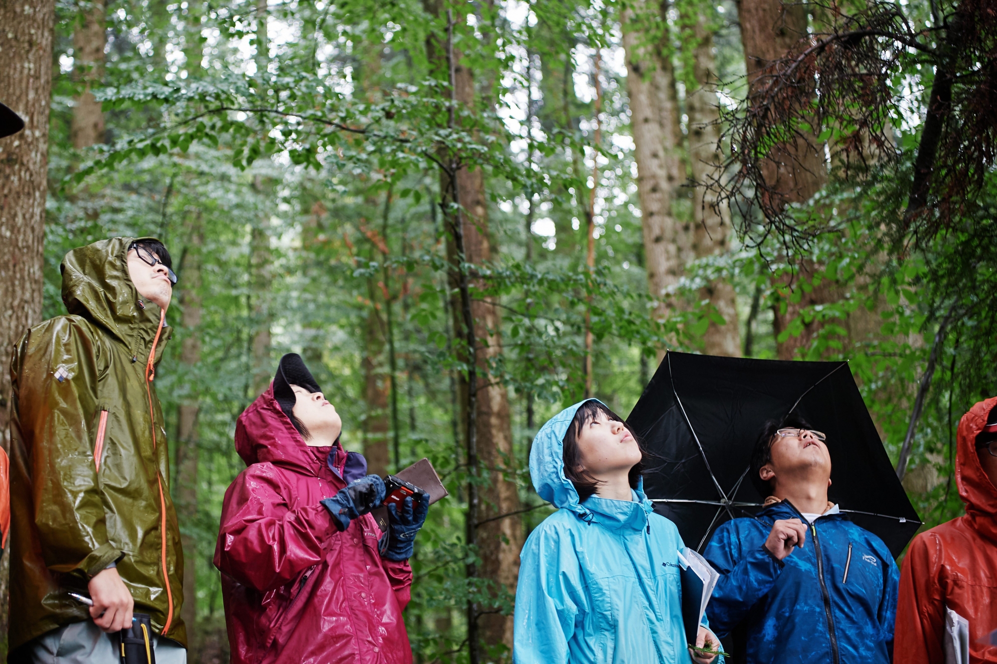Les visiteurs japonais ont apprécié la forêt de Couvet, même sous la pluie battante.