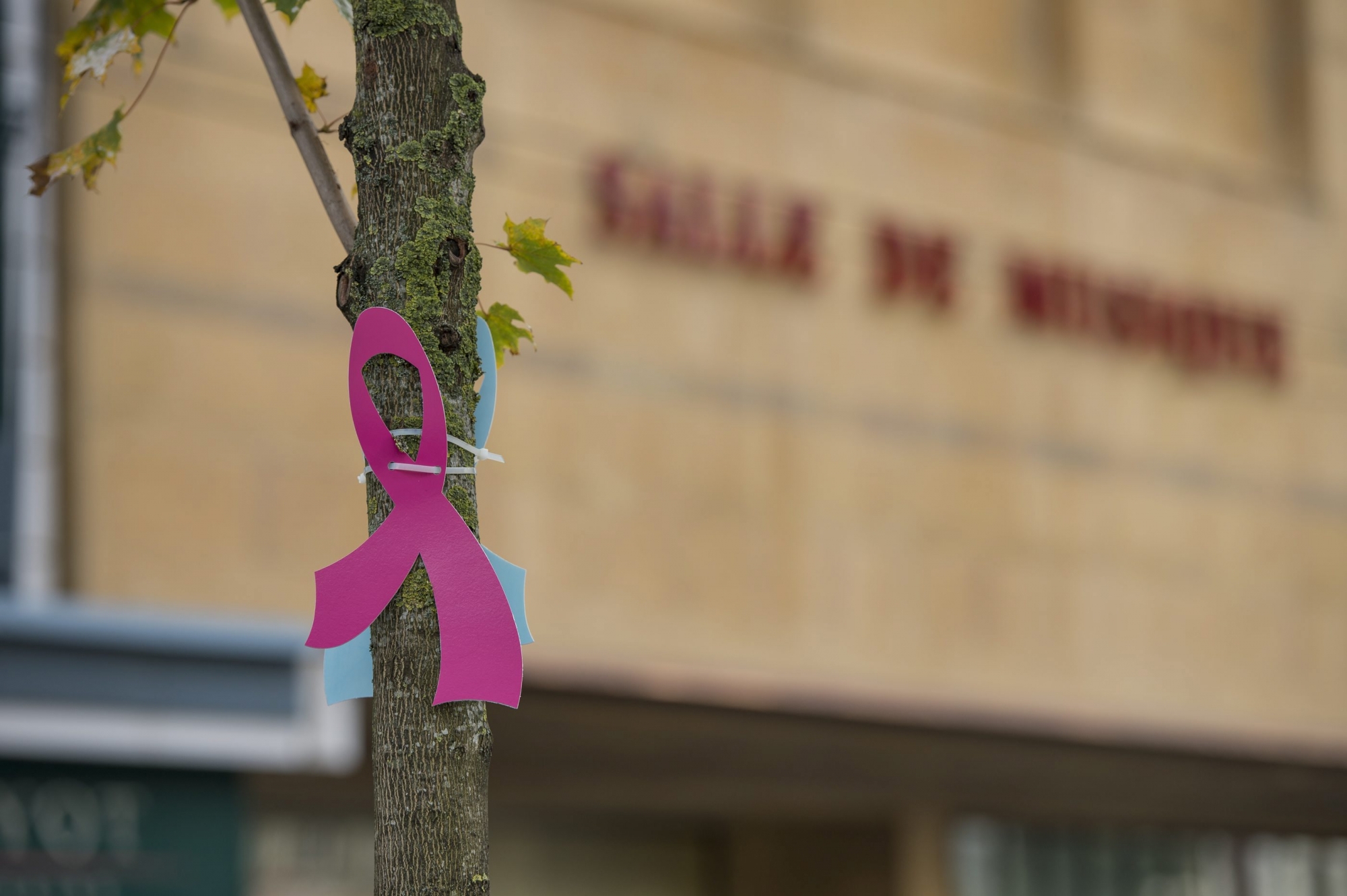 Le dépistage du cancer du sein est largement pratiqué dans le canton de Neuchâtel.