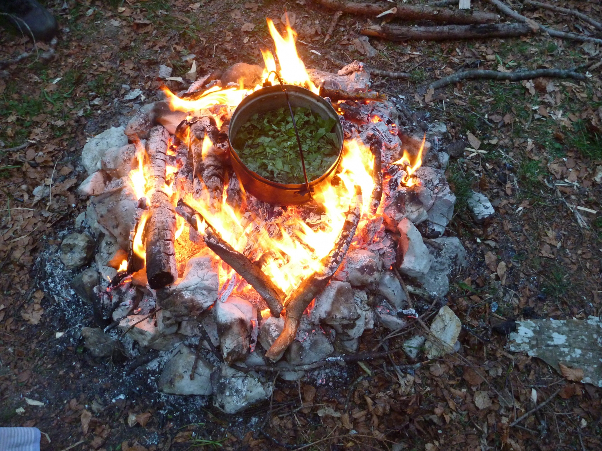 Les participants prépareront leur repas à partir de plantes sauvages, cuites sur un feu allumé sans allumettes.