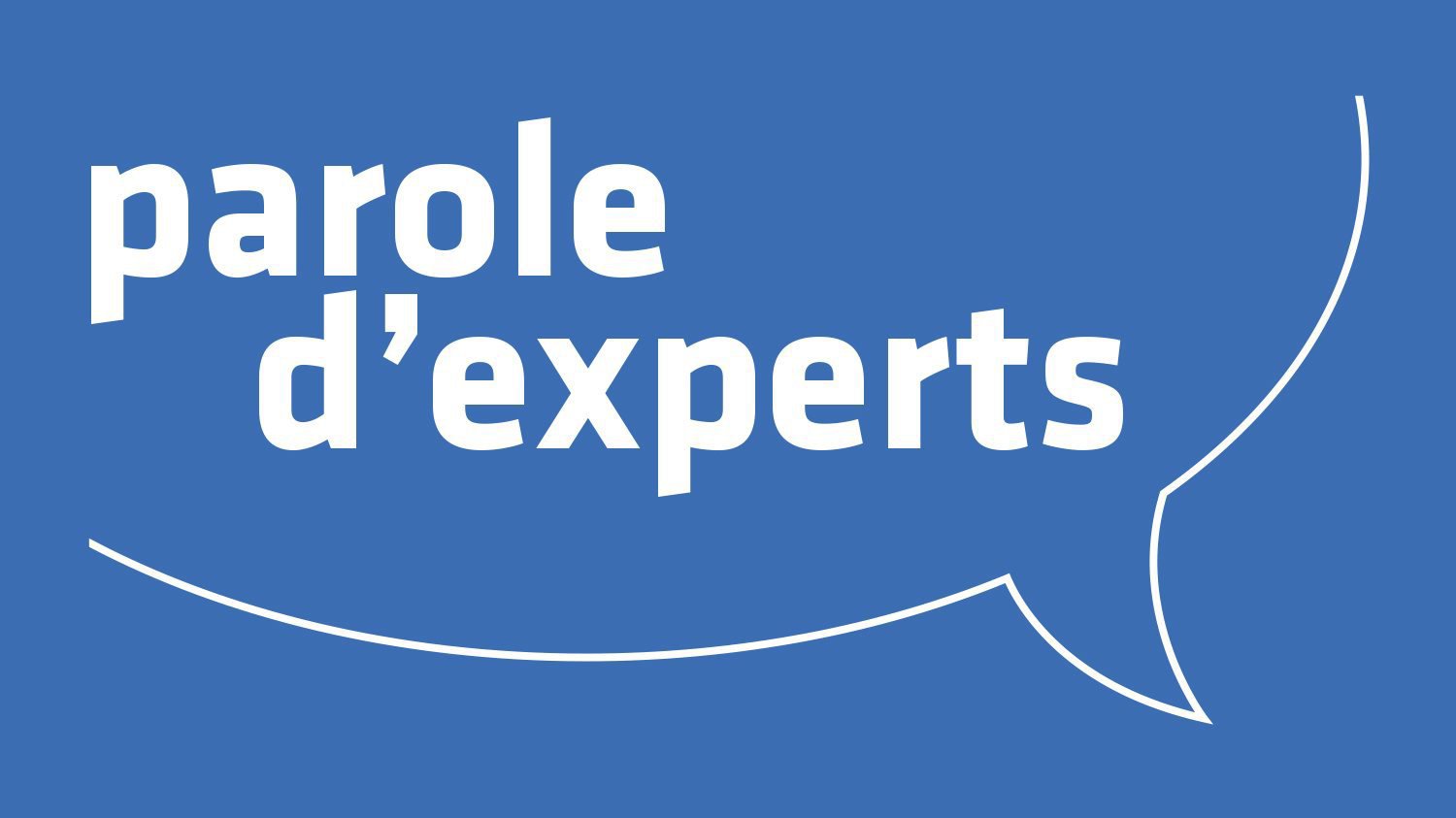 paroleexpert-logo-v2-002