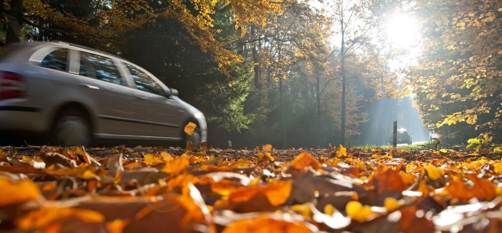 En automne, les conditions de circulation sur les routes peuvent être piégeuses.