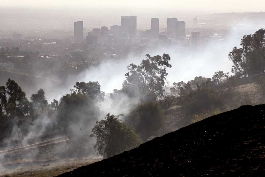 Le "Getty Fire" a dévoré plus de 200 hectares en quelques heures, poussé par de forts vents. 