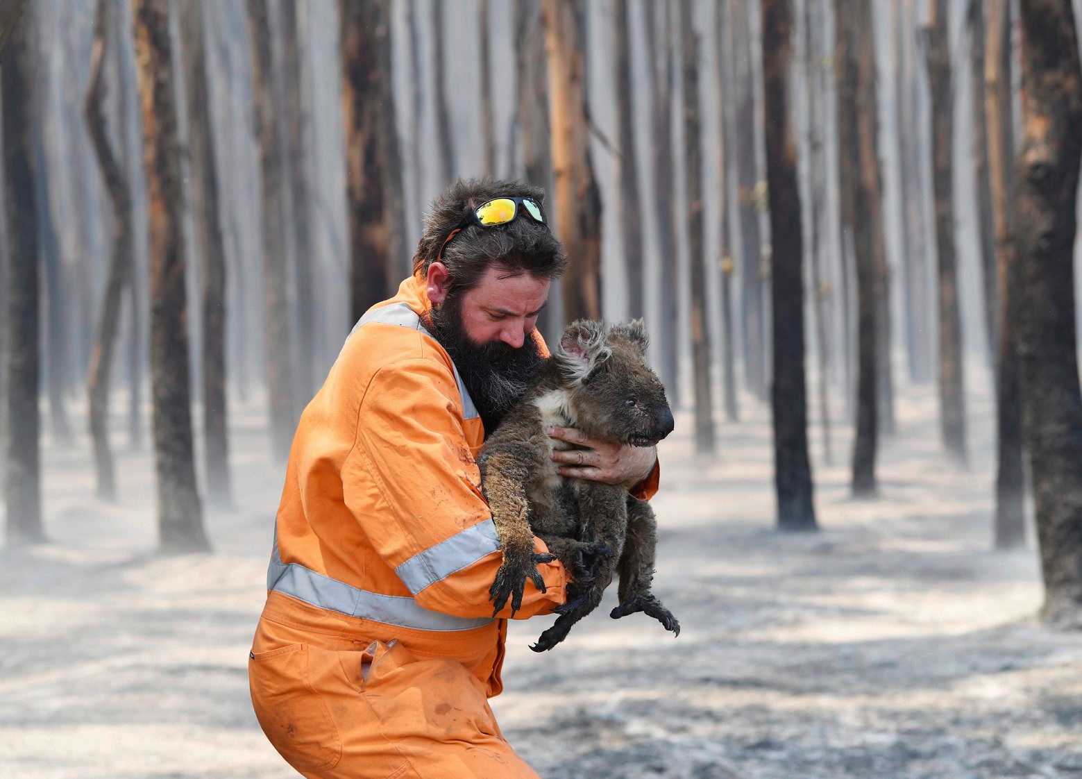 epa08109254 Adelaide wildlife rescuer Simon Adamczyk holds a koala he rescued at a burning forest near Cape Borda on Kangaroo Island, Australia, 07 January 2020. A convoy of Army vehicles, transporting up to 100 Army Reservists and self-sustainment supplies, is on Kangaroo Island as part of Operation Bushfire Assist at the request of the South Australian Government.  EPA/DAVID MARIUZ AUSTRALIA AND NEW ZEALAND OUT AUSTRALIA BUSHFIRES