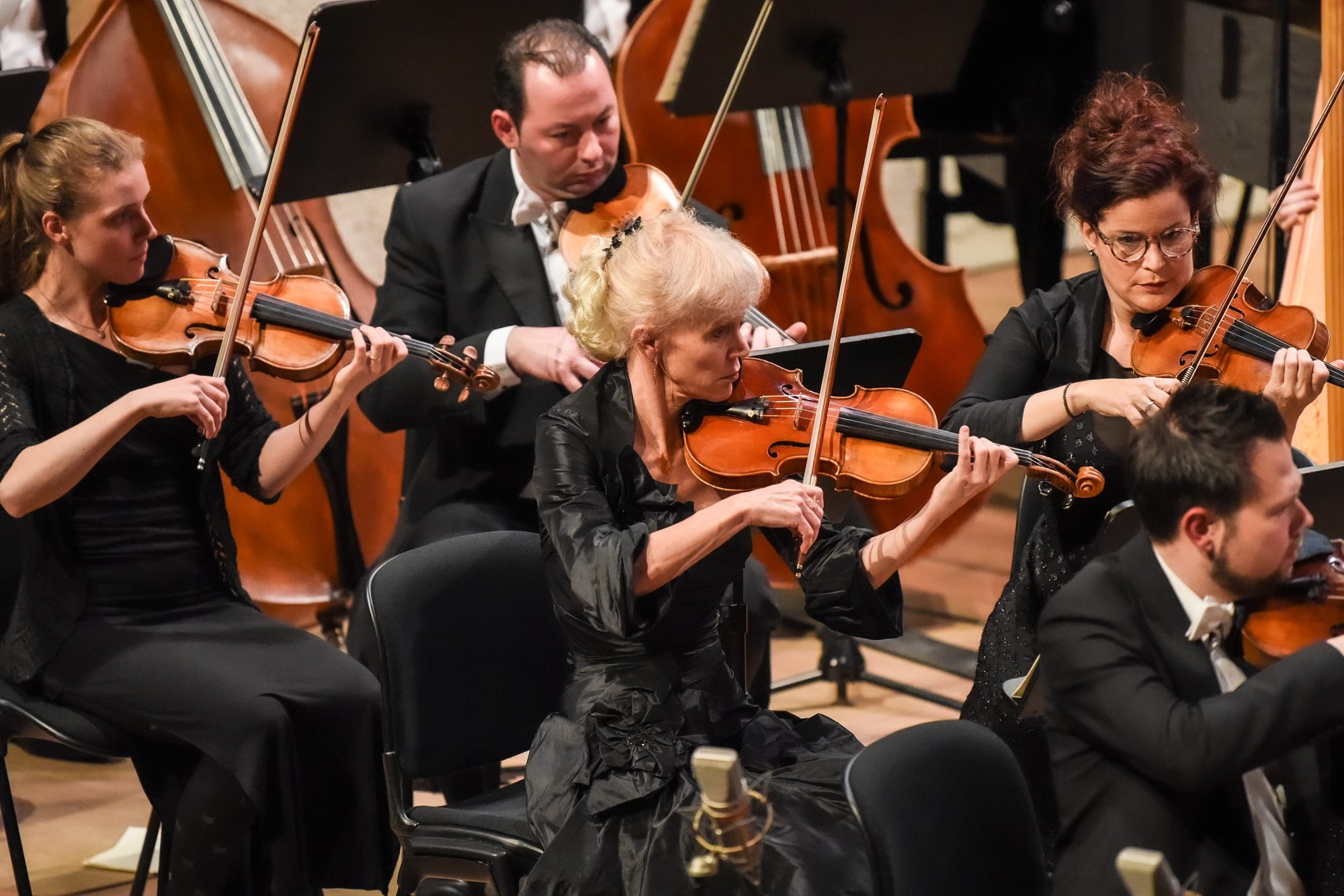 L'ESN se produira dans l'acoustique exceptionnelle de la Salle de musique.