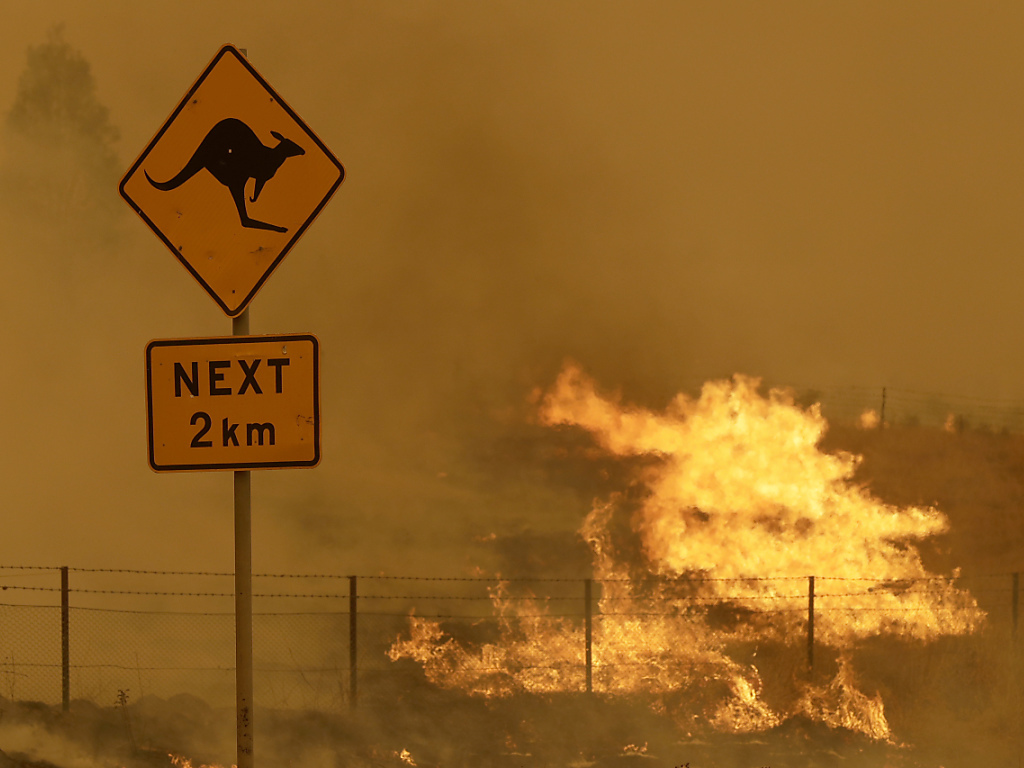 Quelque 15 millions d'Australiens ont été affectés de manière indirecte par ces feux, en raison de la fumée toxique qu'ils ont dégagée ou des projets de vacances qu'ils ont dû changer (archives).