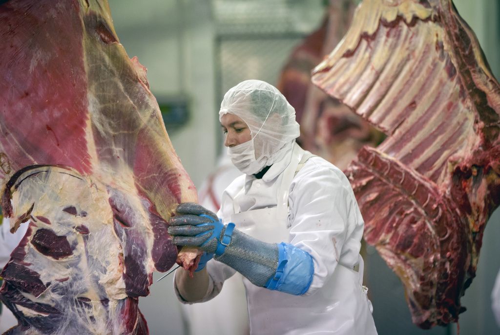 Les cas de Covid-19 se multiplient dans les abattoirs de plusieurs pays.