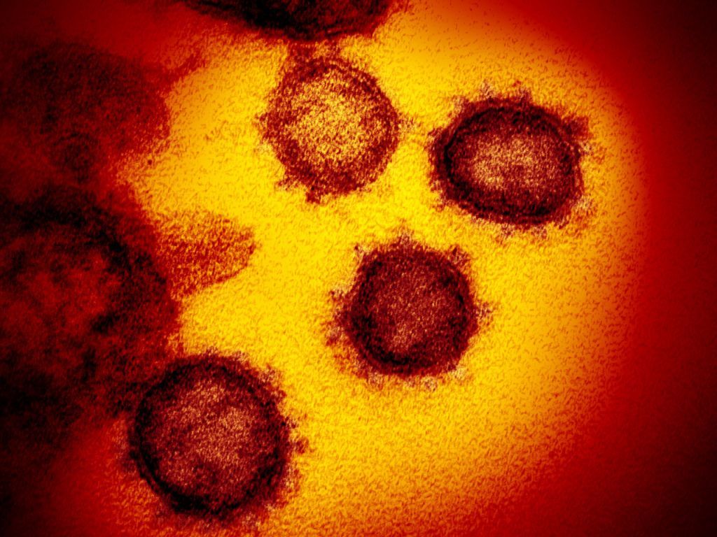 Les mutations génétiques du coronavirus sont traquées dans le monde entier par les chercheurs (archives).