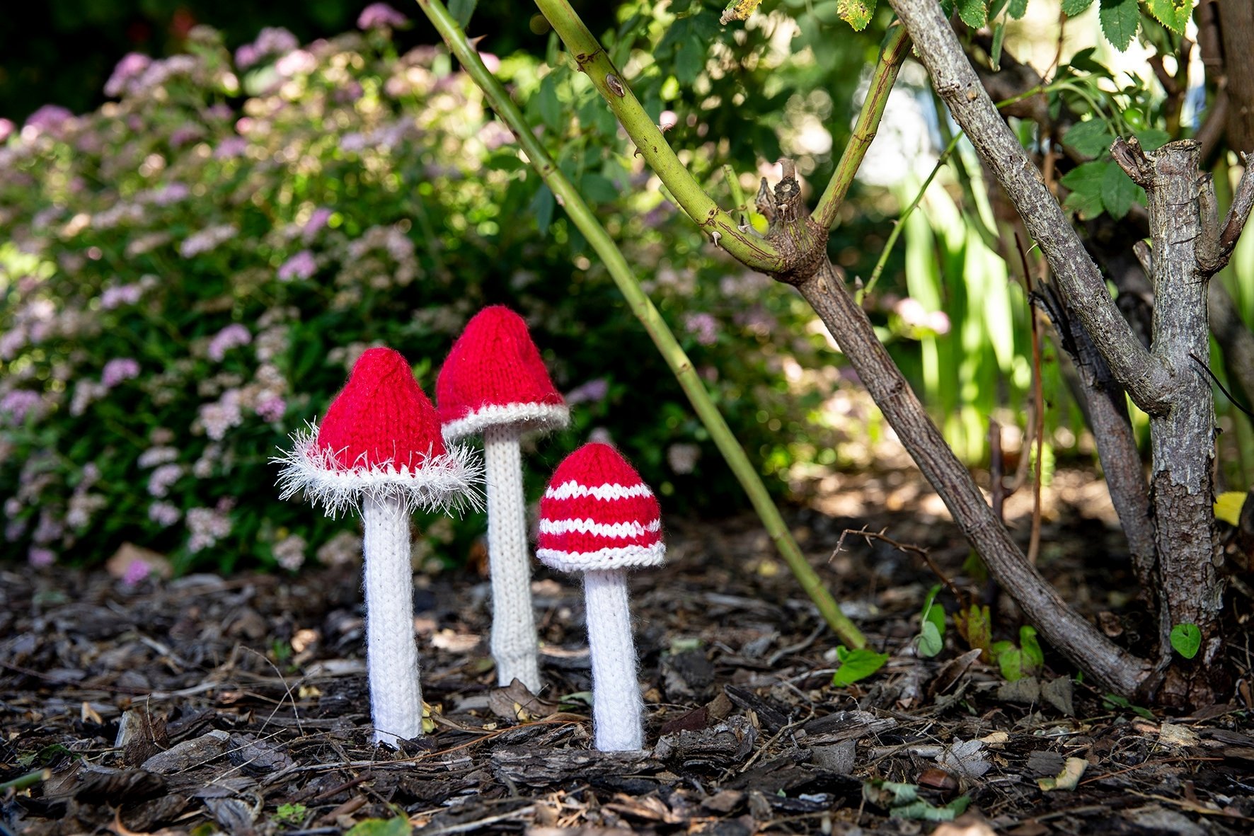 Près de 200 champignons en tricot sont apparus dans les jardins de la rue des Sugiez, à Marin.