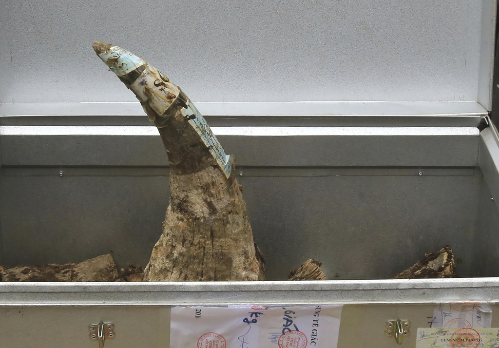 Au marché noir, le kilogramme de corne de rhinocéros se monnaie jusqu’à 55’000 euros. (archives)