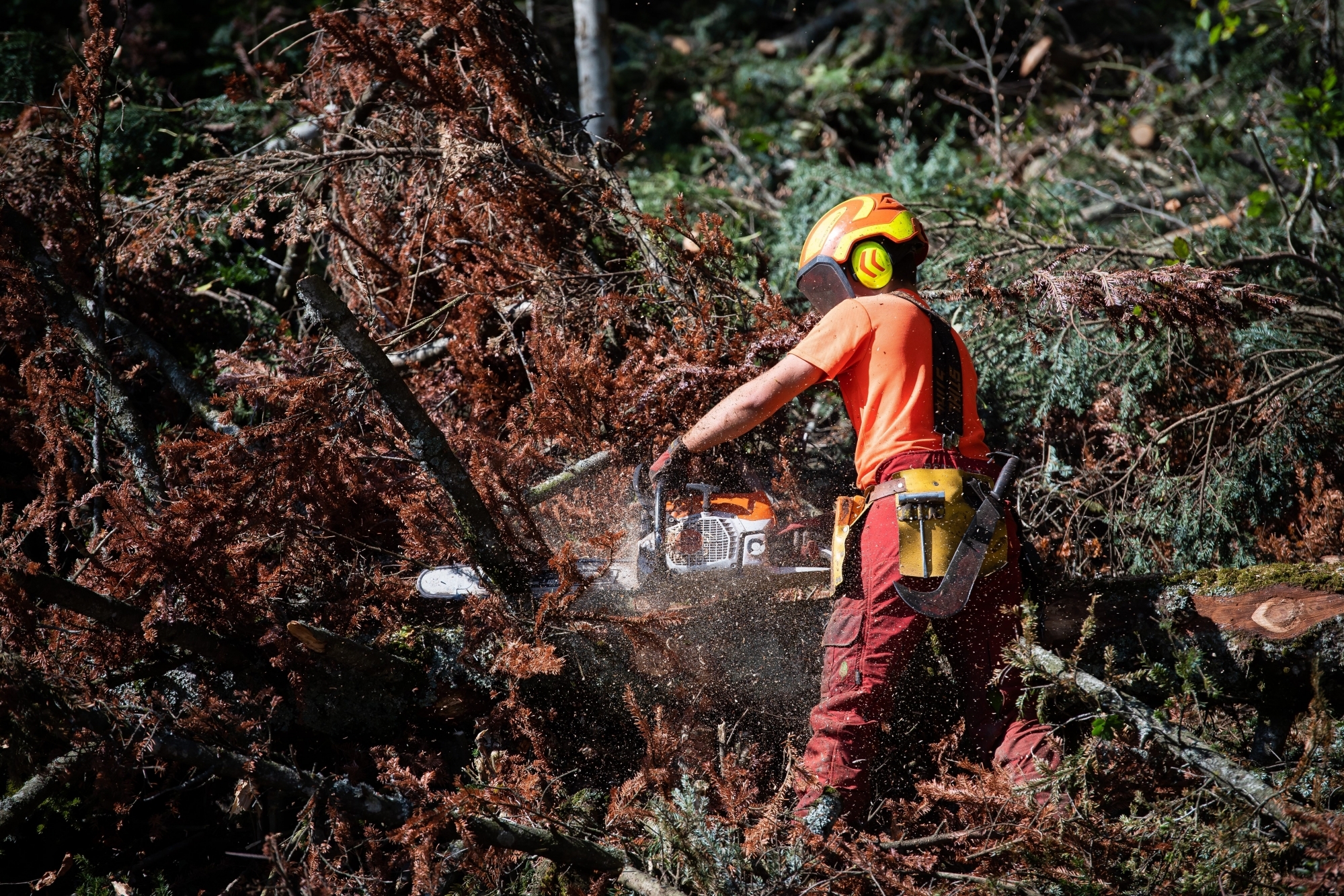 Le danger d'incendie est à nouveau marqué dans le Jura à cause de la sécheresse. (photo d'illustration)