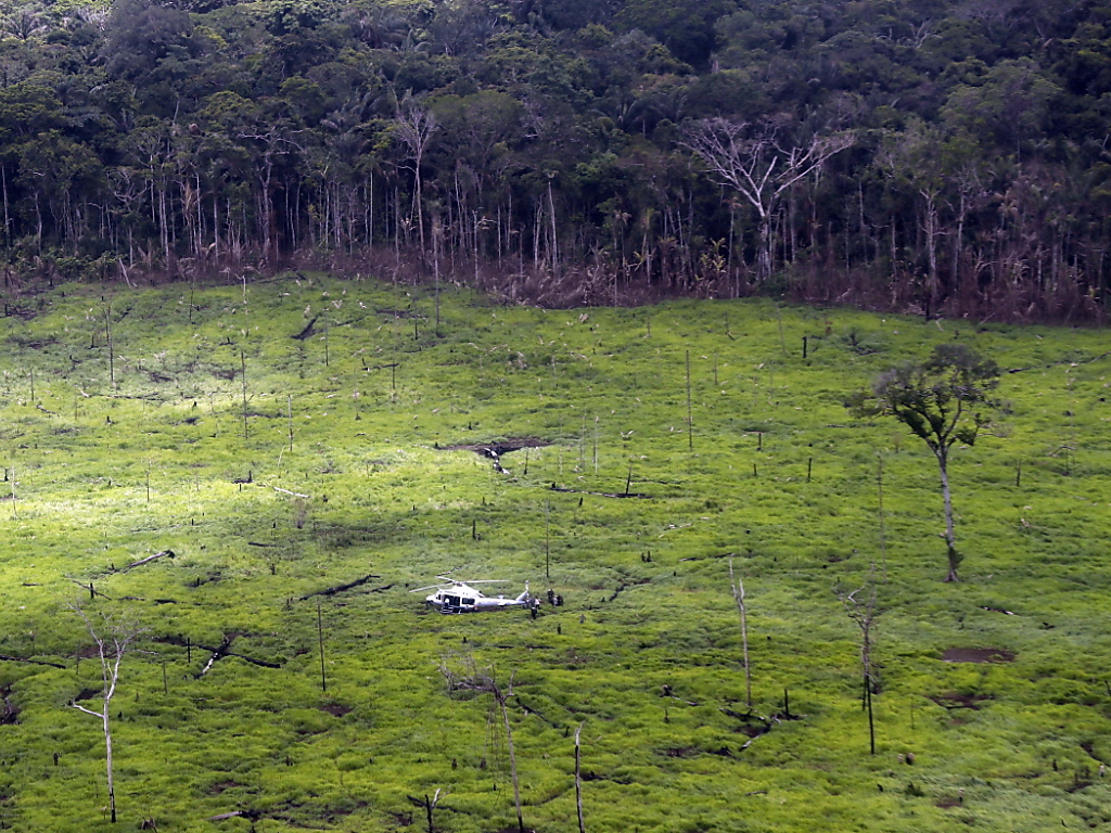En 2019, 158'894 ha de forêt ont été détruits en Colombie contre 197'159 ha en 2018 et 219'173 ha en 2017.(archives).