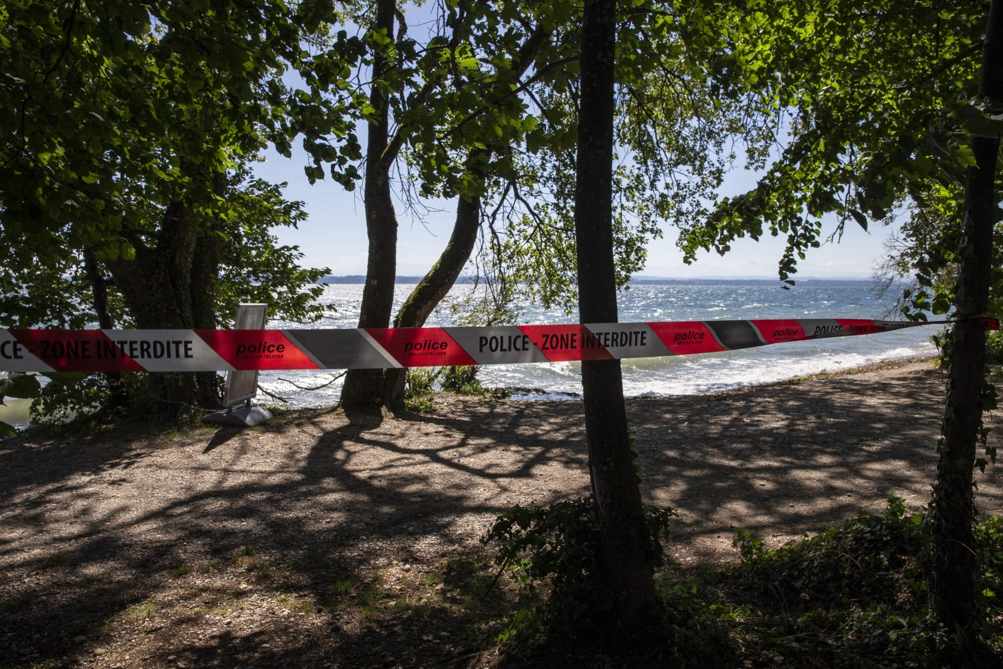 Au moins six chiens sont morts après une baignade dans le lac de Neuchâtel il y a deux semaines.